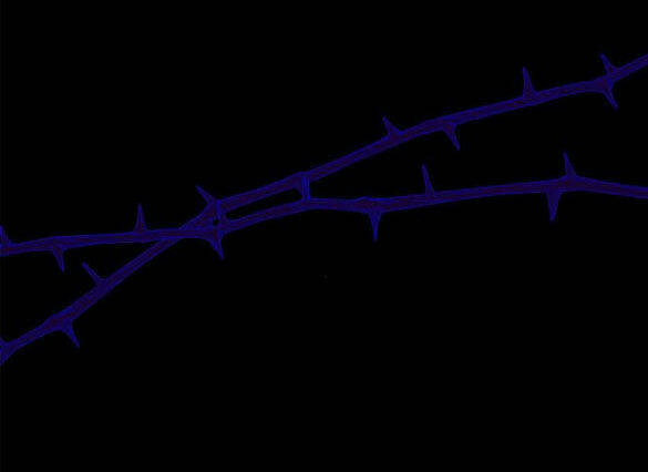 Chị Gái À, Kiếp Này Em Chính Là Nữ Hoàng Chapter 60.1 - Trang 2