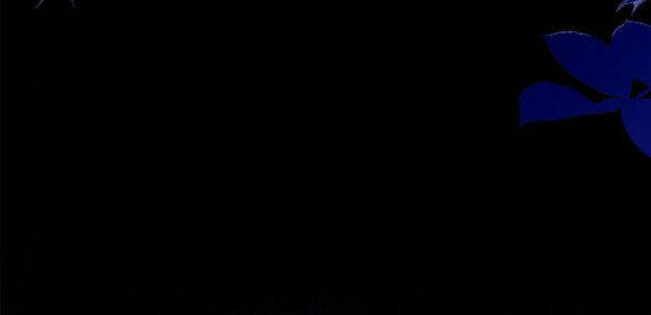 Chị Gái À, Kiếp Này Em Chính Là Nữ Hoàng Chapter 60.1 - Trang 2