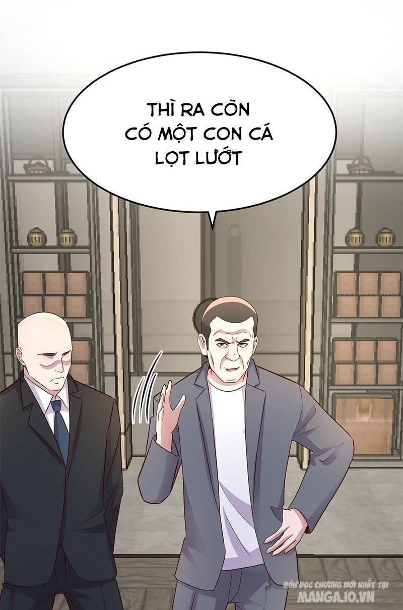 Chị Gái Tôi Là Đại Minh Tinh Chapter 151 - Trang 2