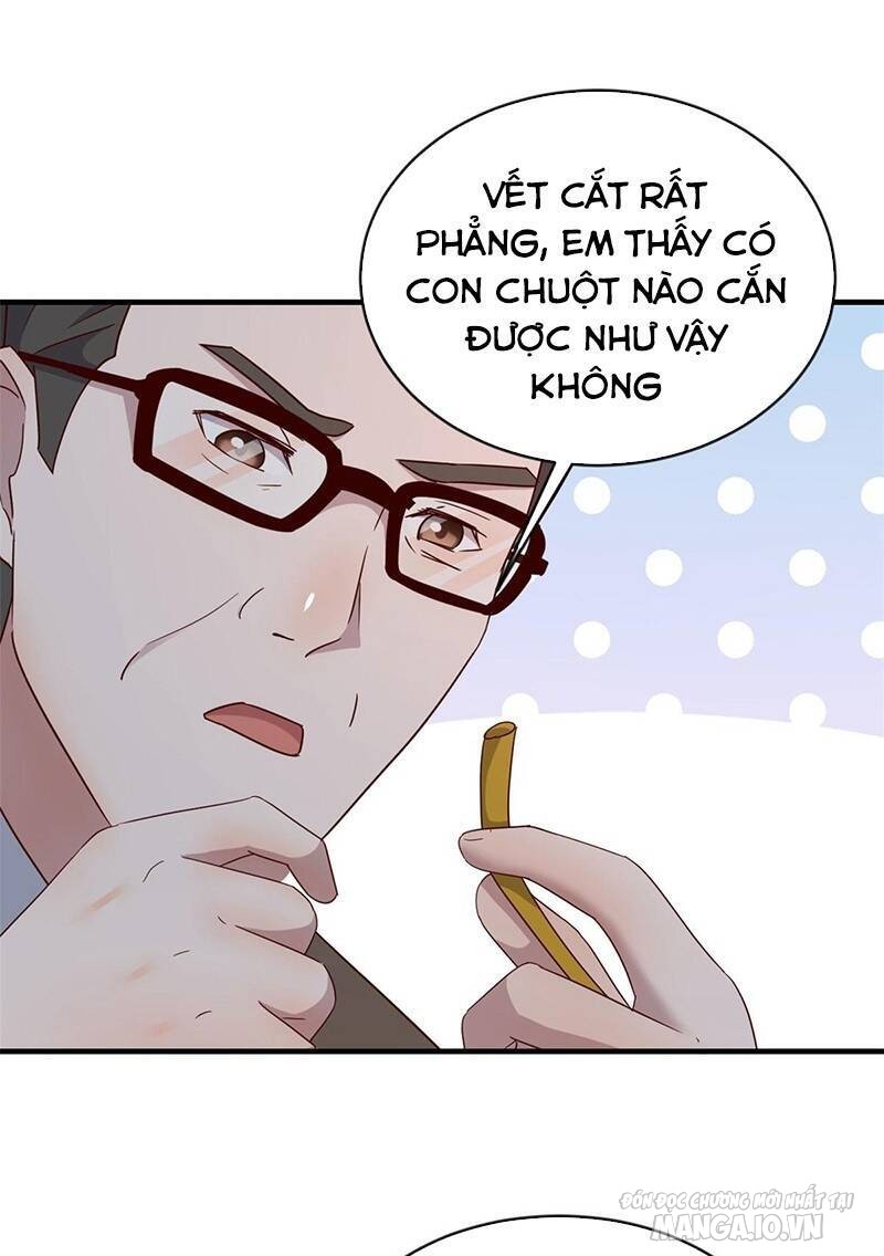 Chị Gái Tôi Là Đại Minh Tinh Chapter 155 - Trang 2