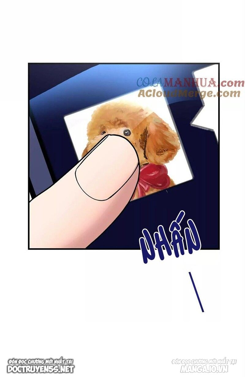 Chị Gái Tôi Là Đại Minh Tinh Chapter 194 - Trang 2