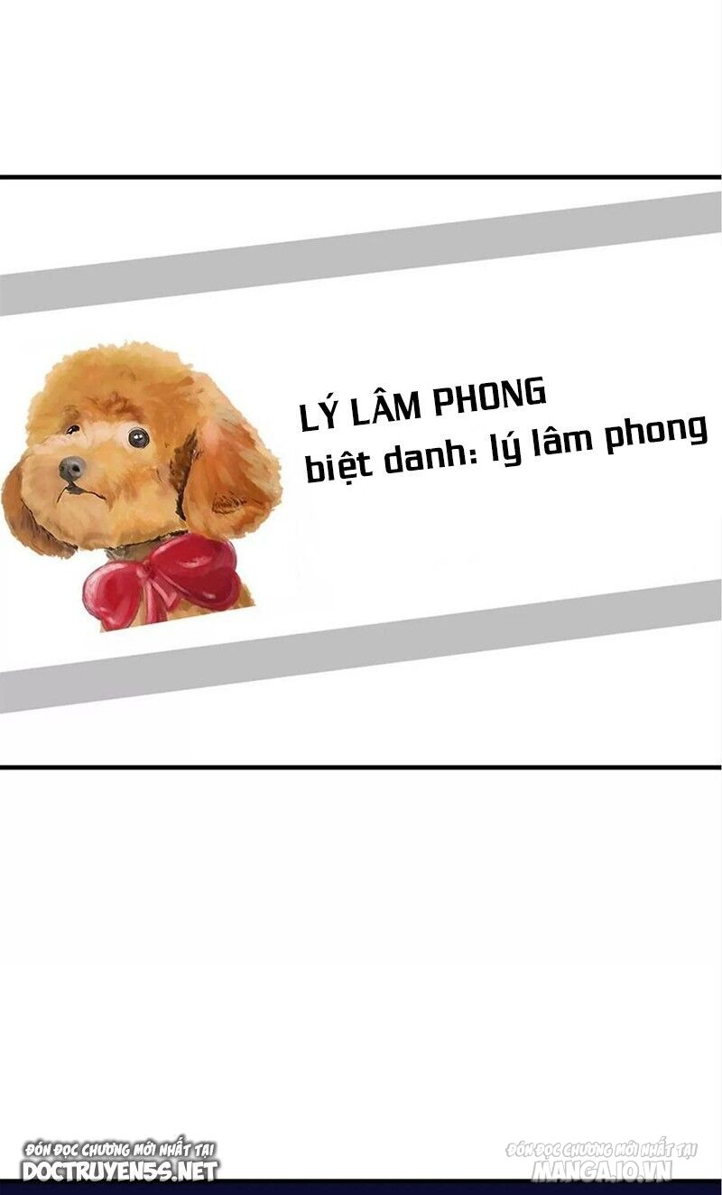 Chị Gái Tôi Là Đại Minh Tinh Chapter 194 - Trang 2