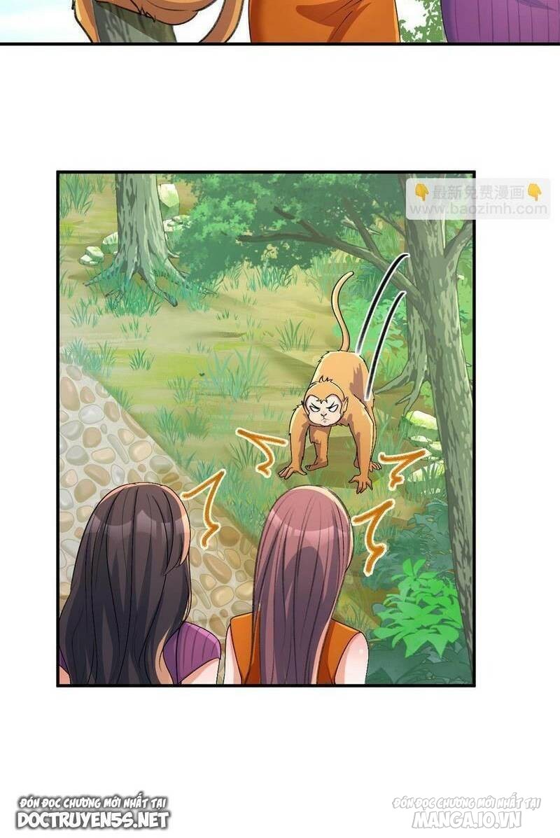 Chị Gái Tôi Là Đại Minh Tinh Chapter 213 - Trang 2