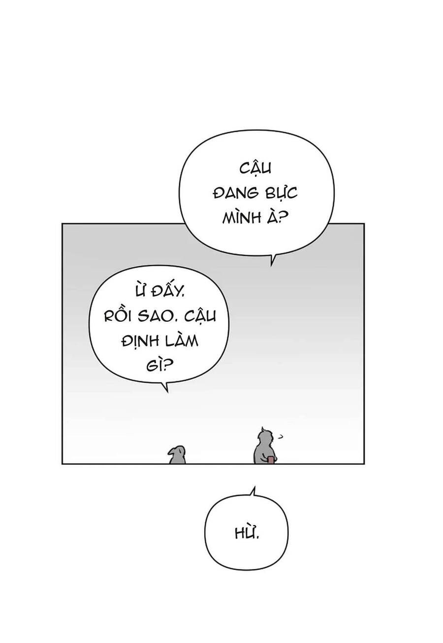 Chỉ Là Ánh Bình Minh Chapter 18 - Trang 2