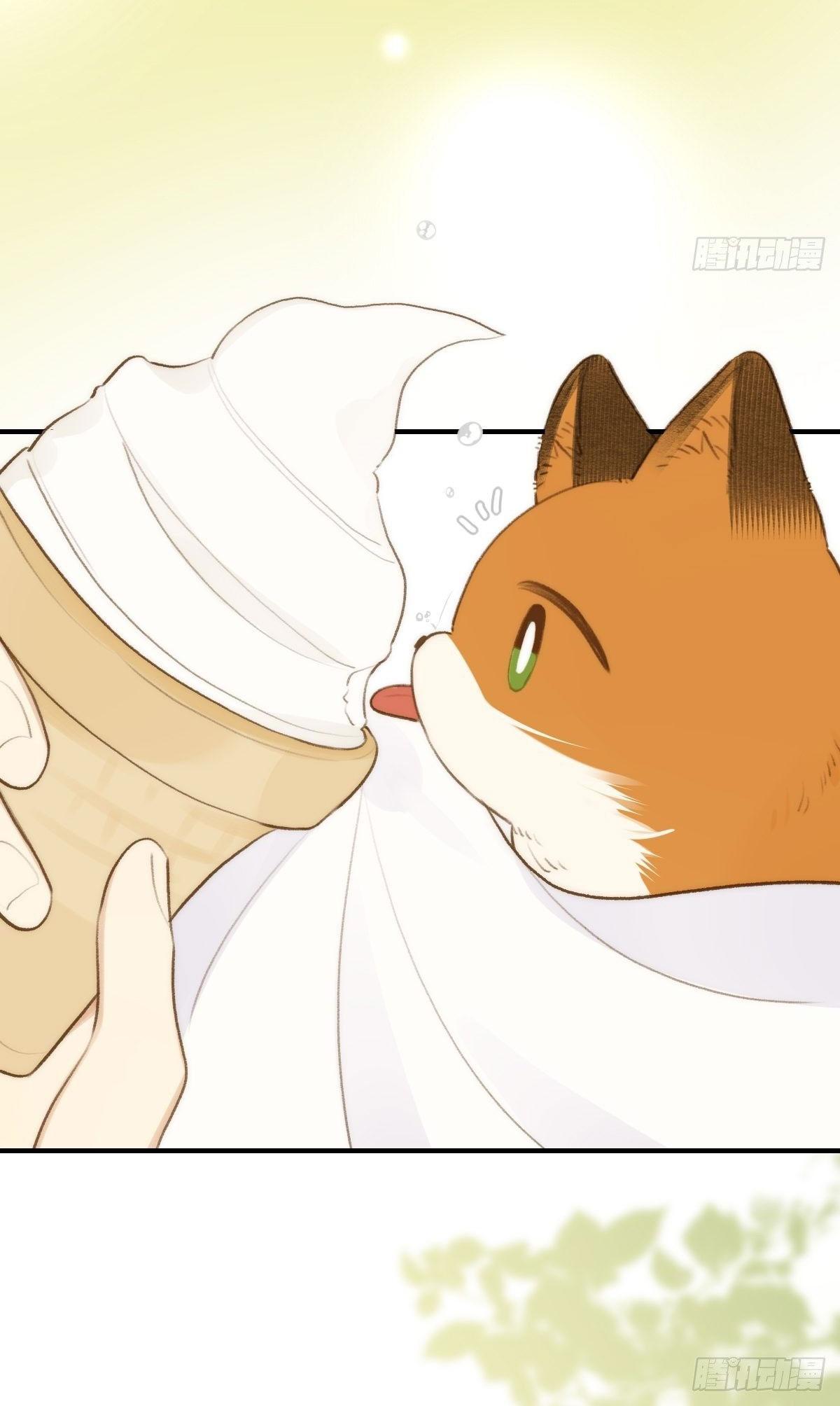 Chỉ Riêng Đuôi Là Không Được!!! Chapter 14 - Trang 2