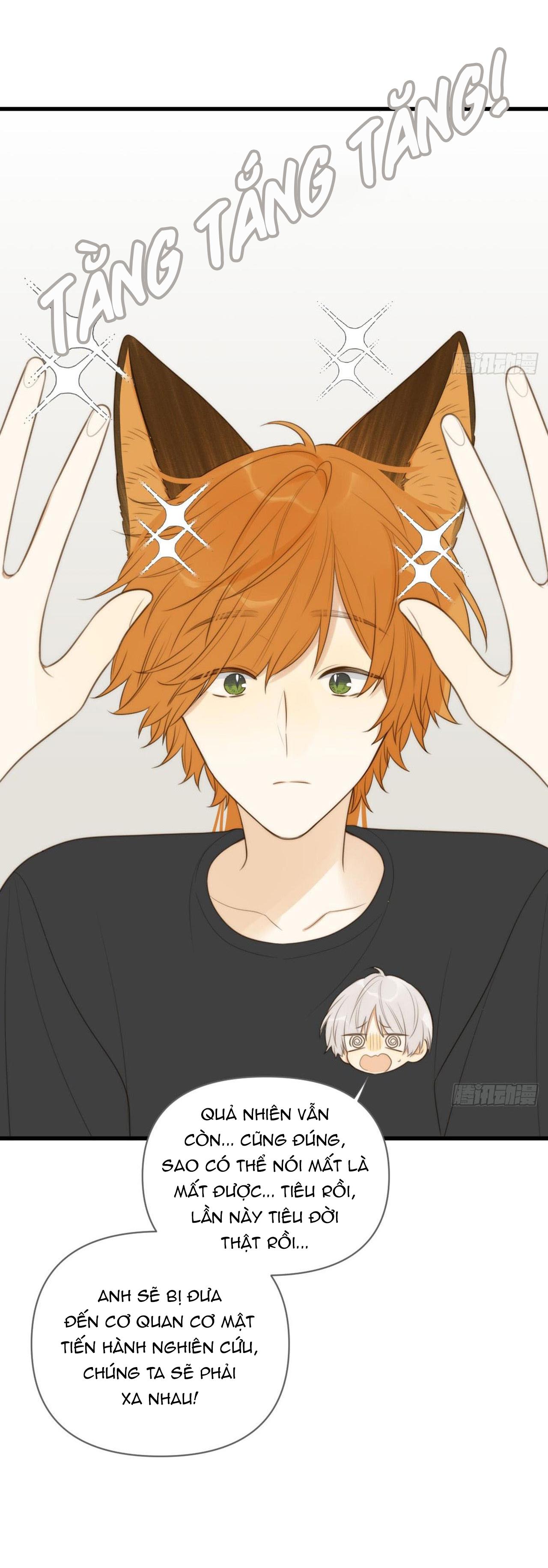 Chỉ Riêng Đuôi Là Không Được!!! Chapter 21 - Trang 2
