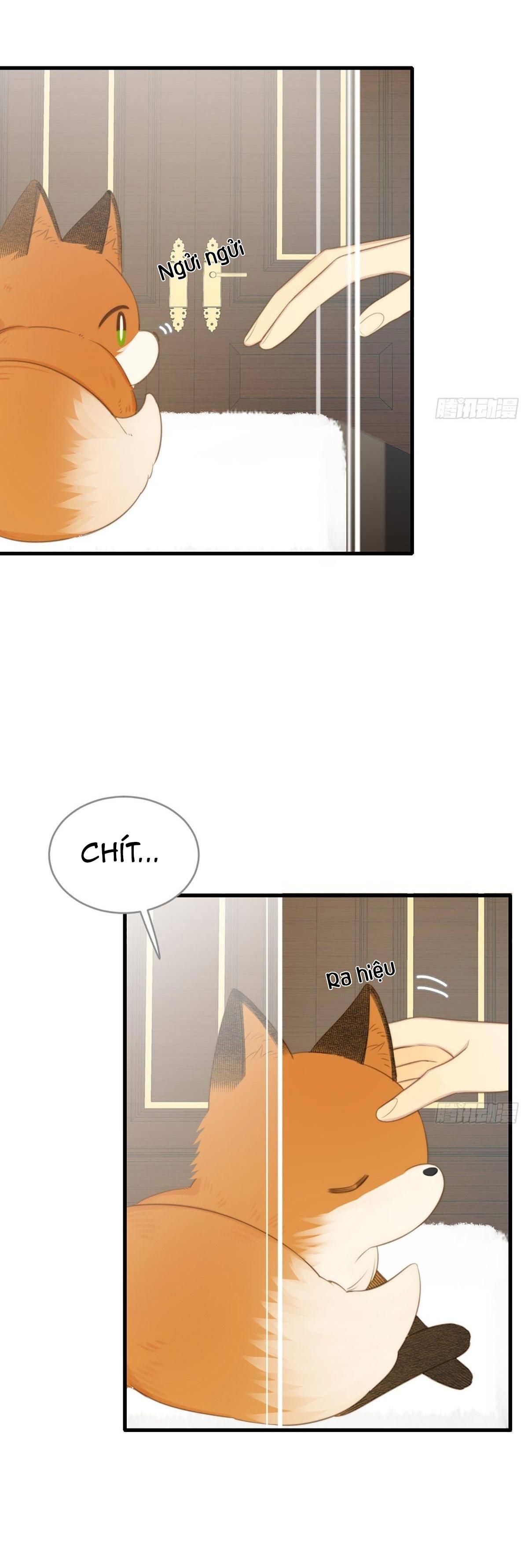 Chỉ Riêng Đuôi Là Không Được!!! Chapter 9 - Trang 2