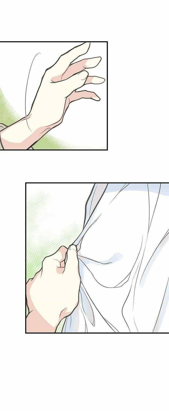 Chị Tôi Đã Nhặt Về Nhà Một Nam Chính Quyến Rũ Chapter 1 - Trang 2