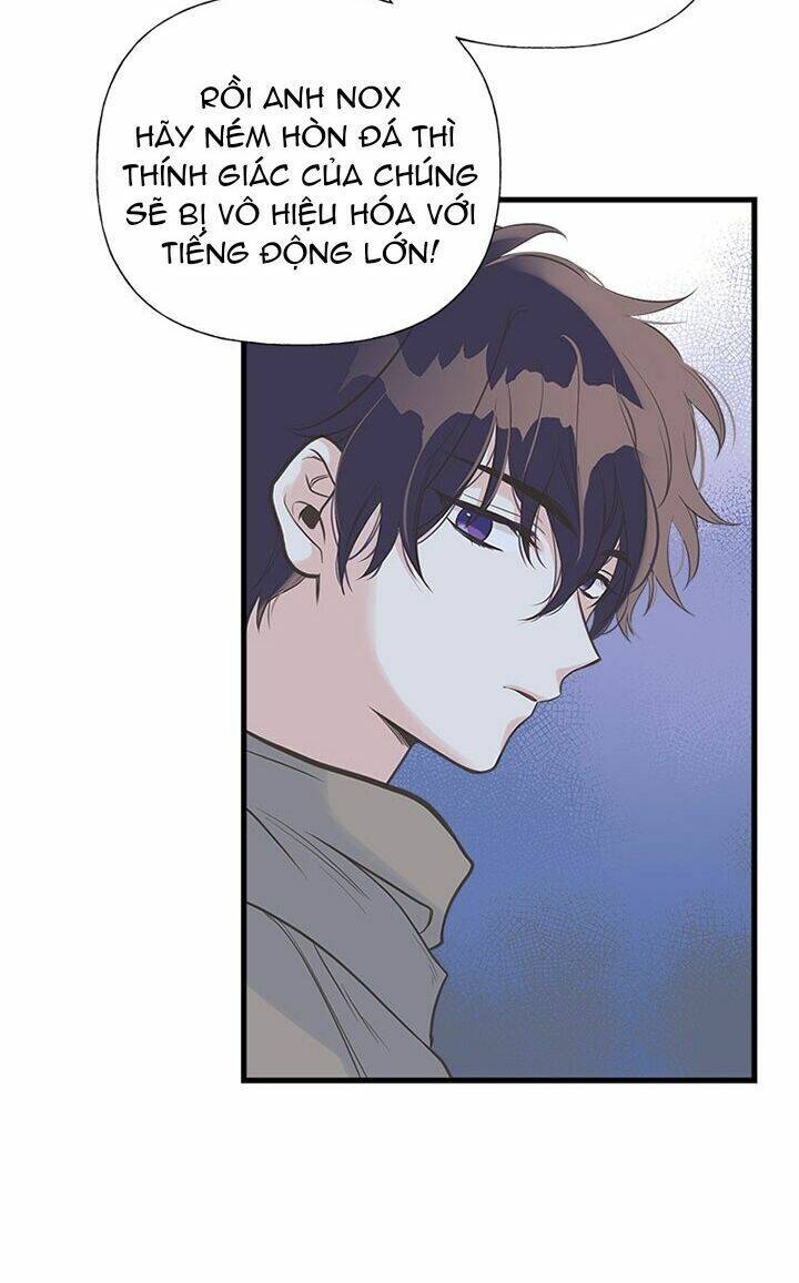 Chị Tôi Đã Nhặt Về Nhà Một Nam Chính Quyến Rũ Chapter 11 - Trang 2