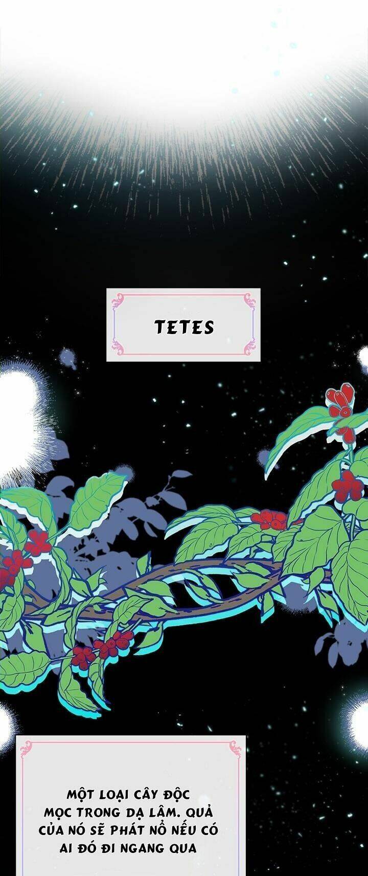 Chị Tôi Đã Nhặt Về Nhà Một Nam Chính Quyến Rũ Chapter 11 - Trang 2