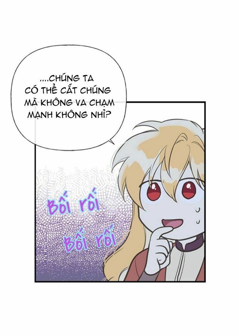 Chị Tôi Đã Nhặt Về Nhà Một Nam Chính Quyến Rũ Chapter 11 - Trang 2