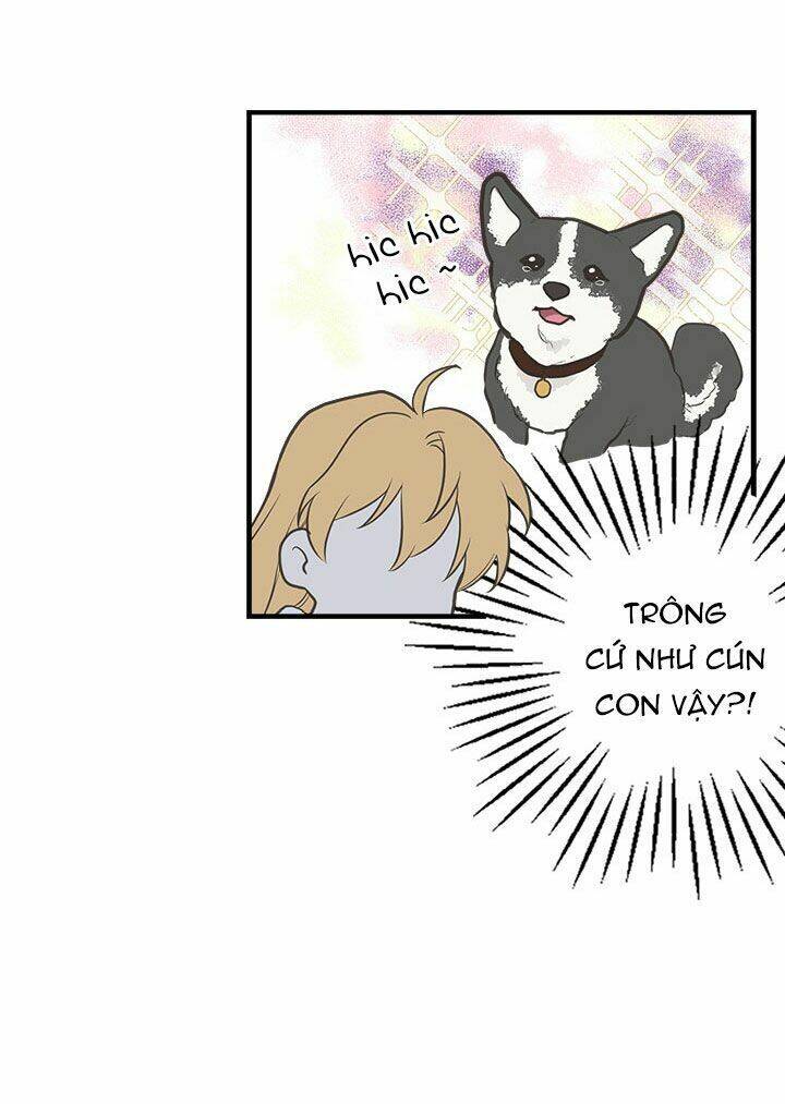 Chị Tôi Đã Nhặt Về Nhà Một Nam Chính Quyến Rũ Chapter 12 - Trang 2