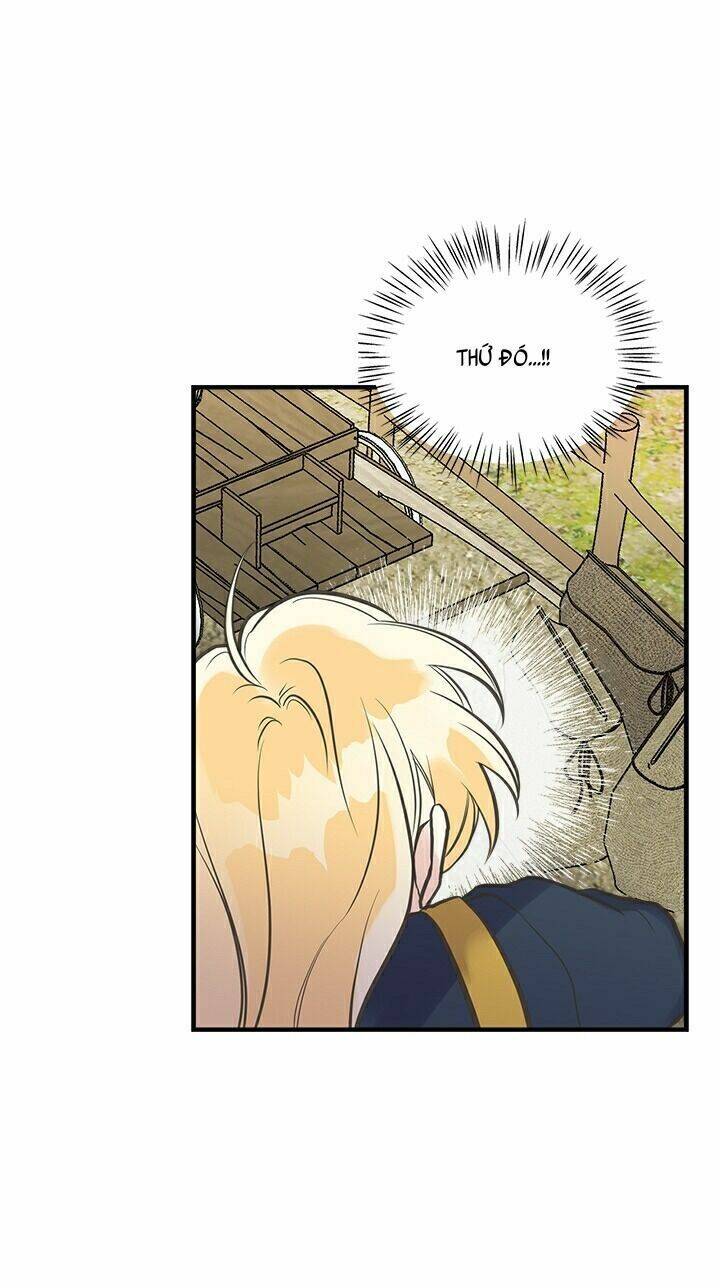 Chị Tôi Đã Nhặt Về Nhà Một Nam Chính Quyến Rũ Chapter 22 - Trang 2