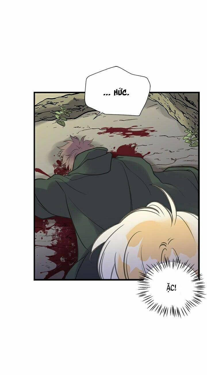 Chị Tôi Đã Nhặt Về Nhà Một Nam Chính Quyến Rũ Chapter 24 - Trang 2