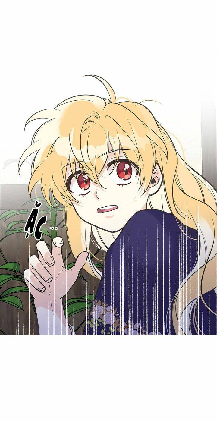 Chị Tôi Đã Nhặt Về Nhà Một Nam Chính Quyến Rũ Chapter 26 - Trang 2