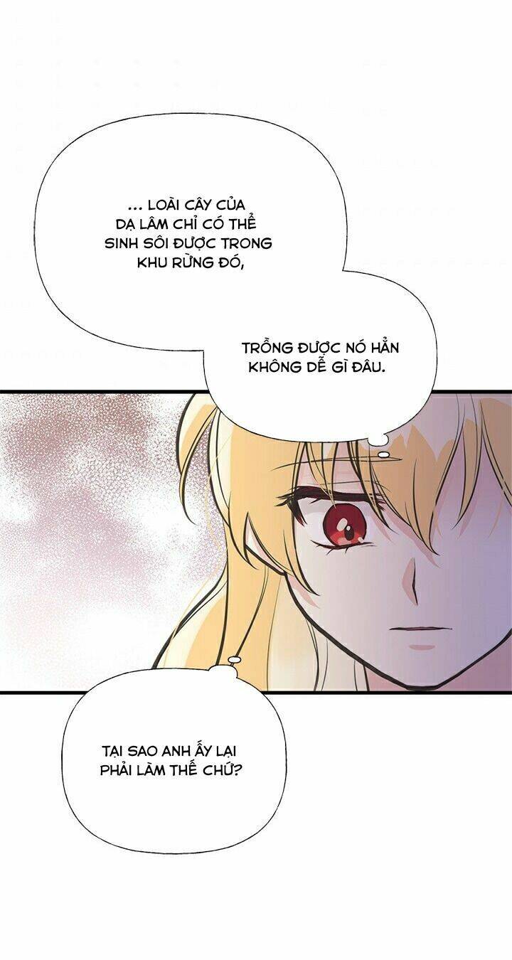 Chị Tôi Đã Nhặt Về Nhà Một Nam Chính Quyến Rũ Chapter 36 - Trang 2