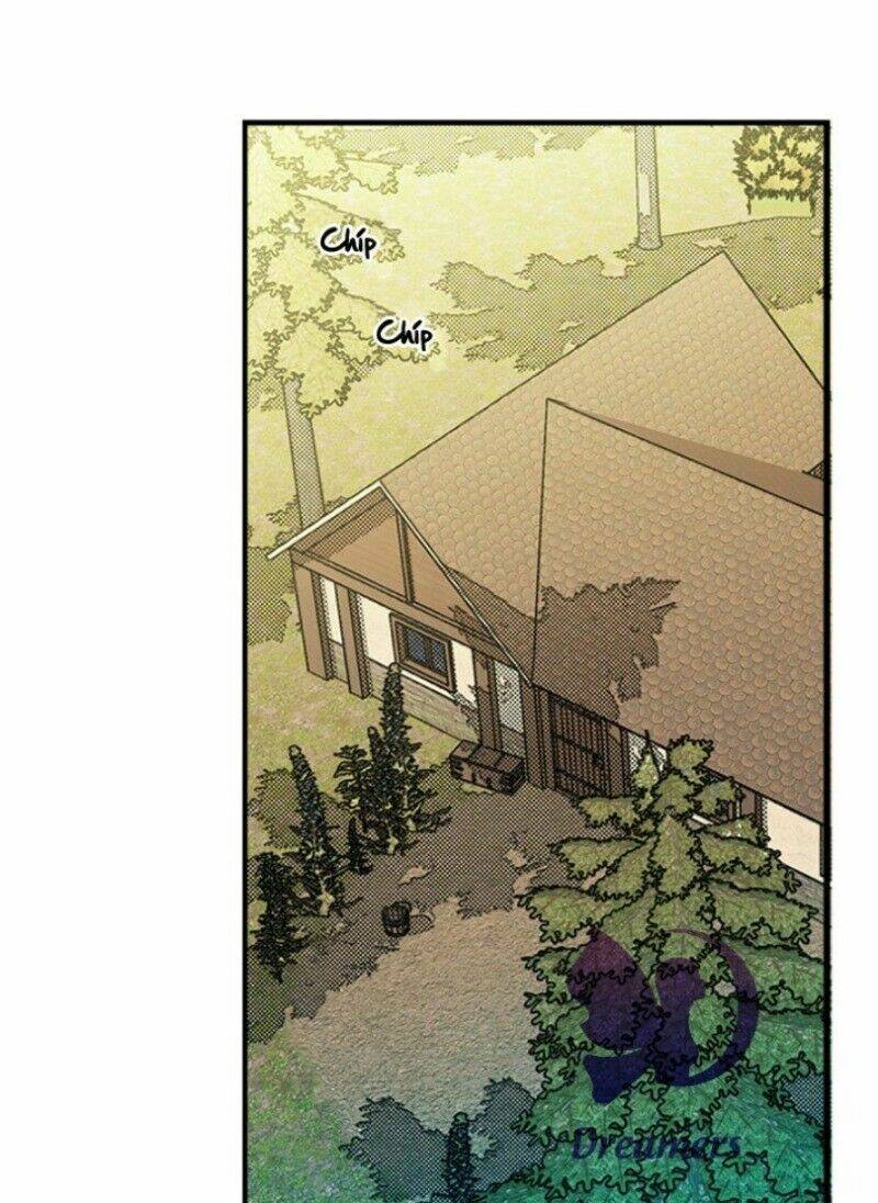 Chị Tôi Đã Nhặt Về Nhà Một Nam Chính Quyến Rũ Chapter 4 - Trang 2