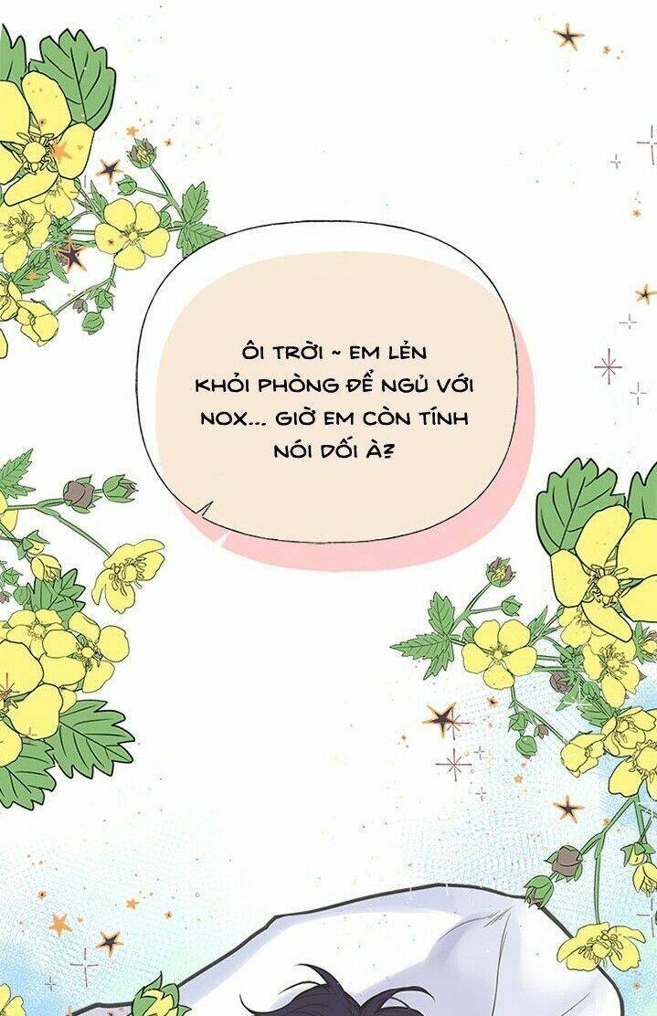 Chị Tôi Đã Nhặt Về Nhà Một Nam Chính Quyến Rũ Chapter 4 - Trang 2