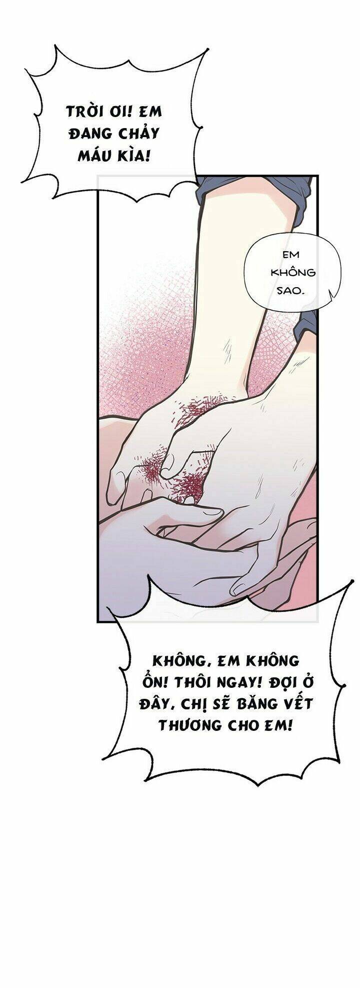 Chị Tôi Đã Nhặt Về Nhà Một Nam Chính Quyến Rũ Chapter 6 - Trang 2