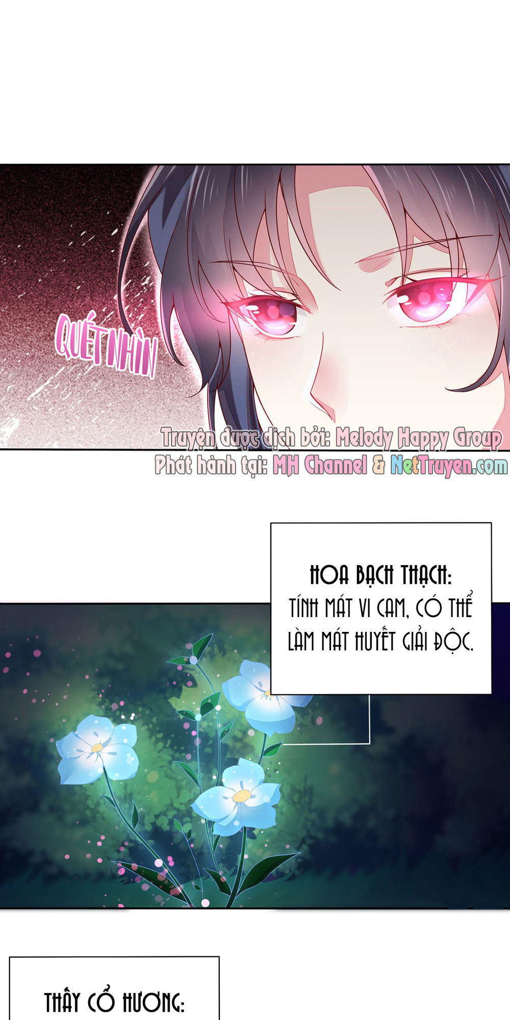 Chi Tôn Đồng Thuật Sư: Tuyệt Thế Đại Tiểu Thư Chapter 16 - Trang 2