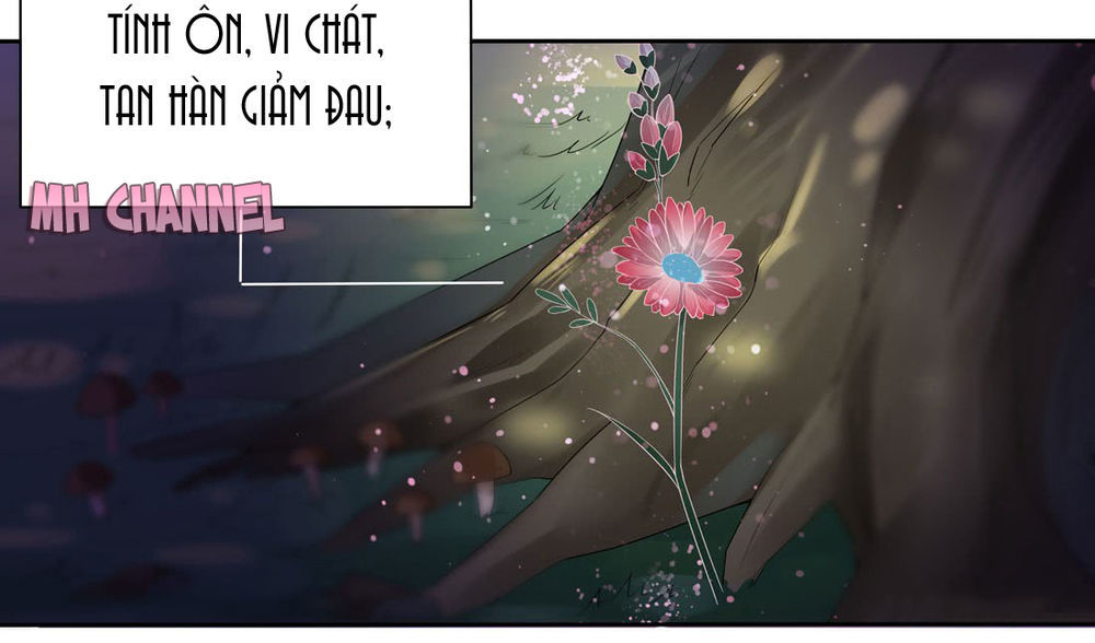 Chi Tôn Đồng Thuật Sư: Tuyệt Thế Đại Tiểu Thư Chapter 16 - Trang 2