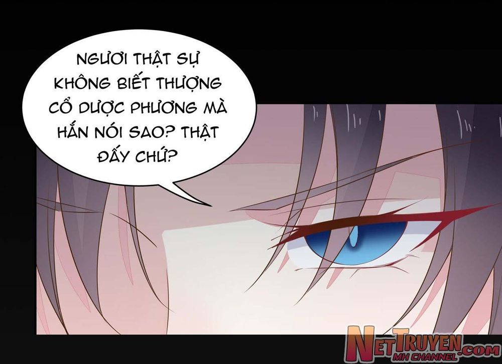 Chi Tôn Đồng Thuật Sư: Tuyệt Thế Đại Tiểu Thư Chapter 56 - Trang 2