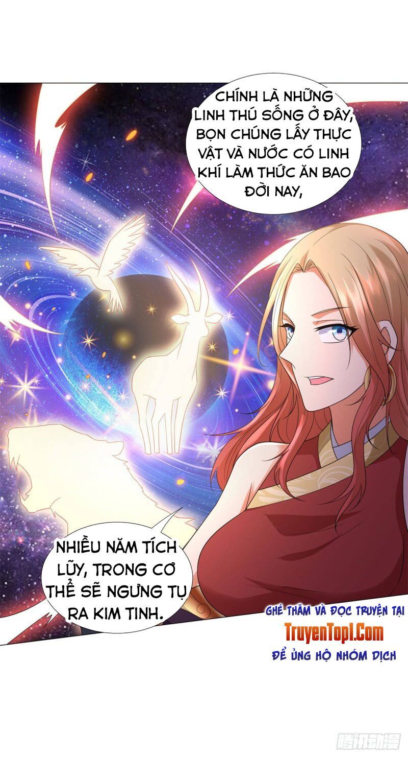 Chí Tôn Trọng Sinh Chapter 54 - Trang 2
