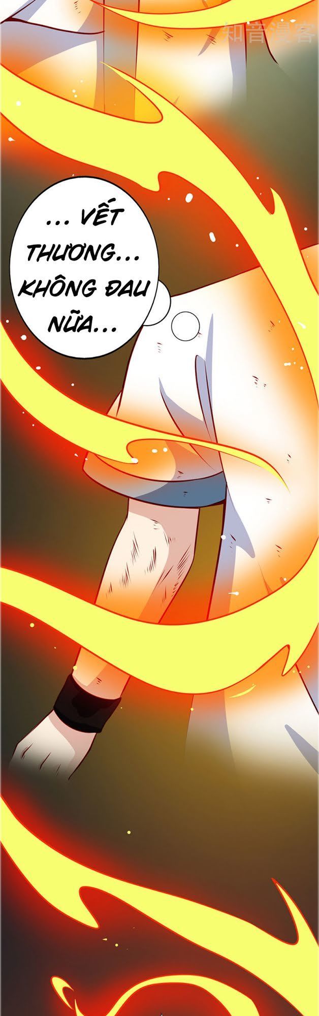 Chí Tôn Võ Đế Chapter 109 - Trang 2