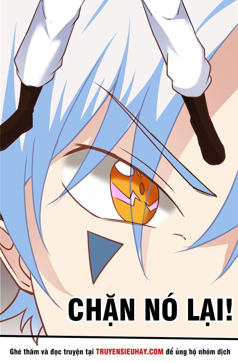 Chí Tôn Võ Đế Chapter 213 - Trang 2