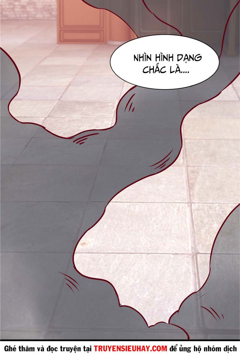 Chí Tôn Võ Đế Chapter 219 - Trang 2