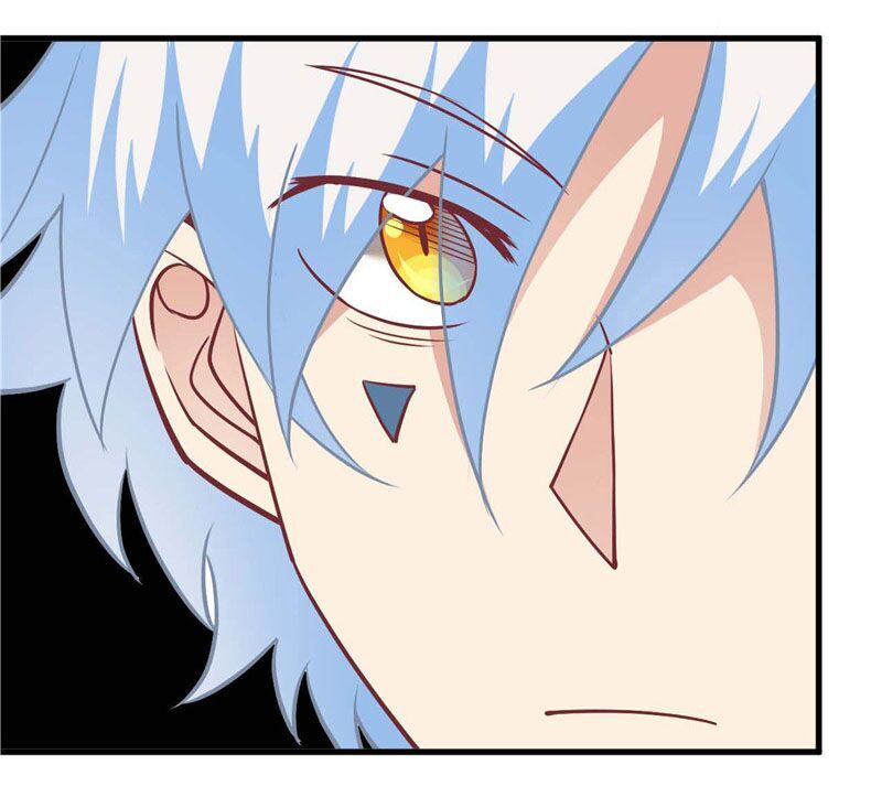 Chí Tôn Võ Đế Chapter 219 - Trang 2