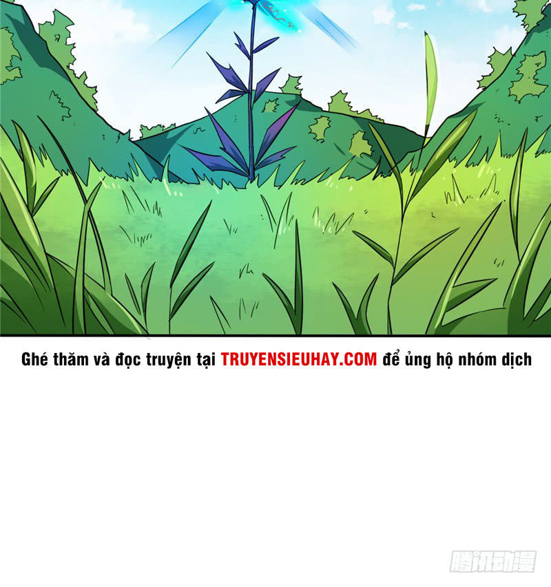 Chí Tôn Võ Đế Chapter 26 - Trang 2