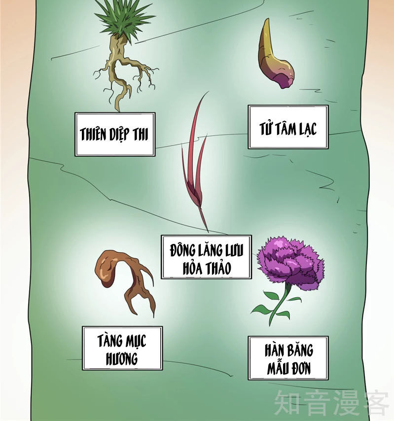 Chí Tôn Võ Đế Chapter 86 - Trang 2