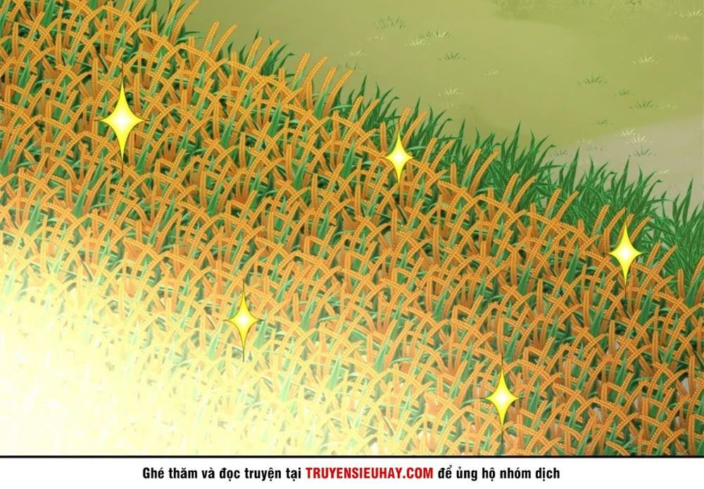 Chiếm Cái Đỉnh Núi Làm Đại Vương Chapter 10 - Trang 2