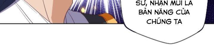 Chiếm Cái Đỉnh Núi Làm Đại Vương Chapter 104 - Trang 2