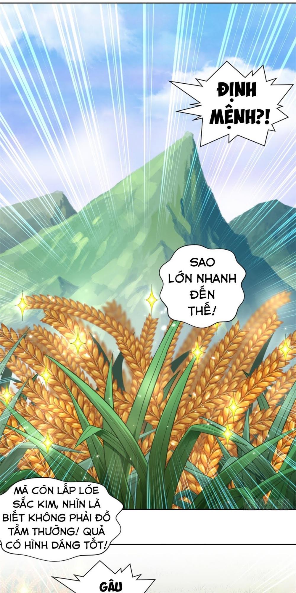 Chiếm Cái Đỉnh Núi Làm Đại Vương Chapter 2 - Trang 2