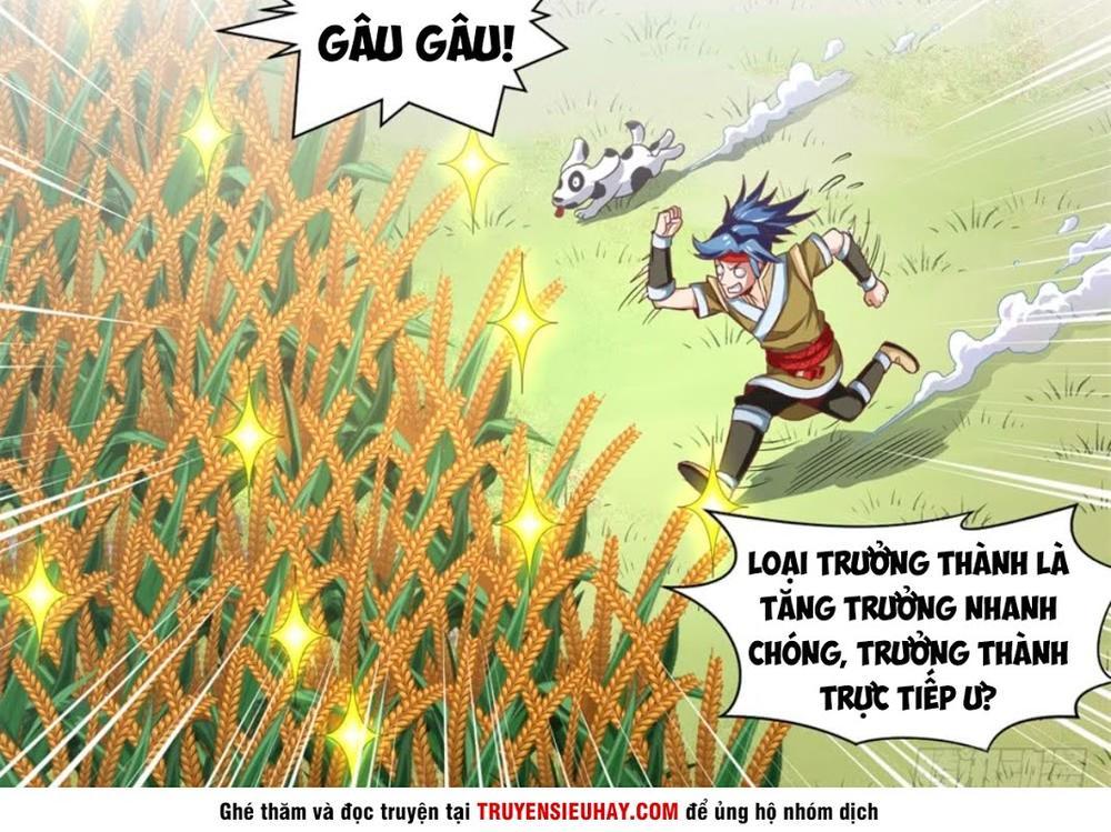 Chiếm Cái Đỉnh Núi Làm Đại Vương Chapter 2 - Trang 2