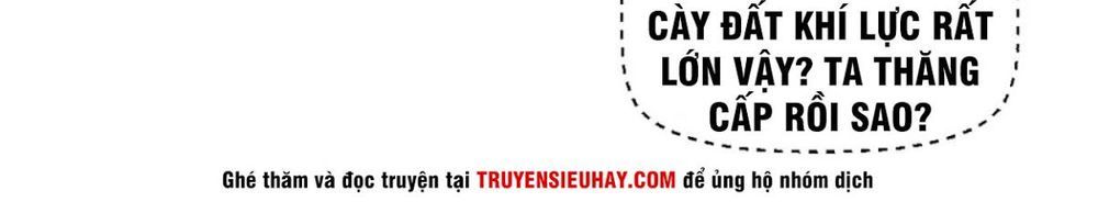 Chiếm Cái Đỉnh Núi Làm Đại Vương Chapter 20 - Trang 2