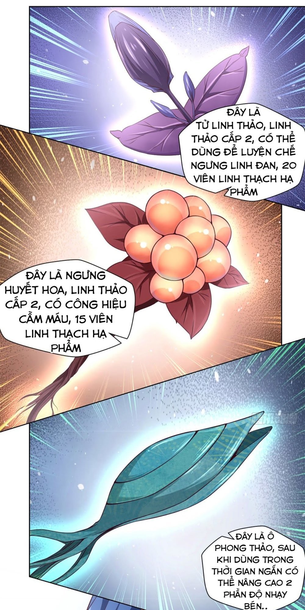 Chiếm Cái Đỉnh Núi Làm Đại Vương Chapter 4 - Trang 2