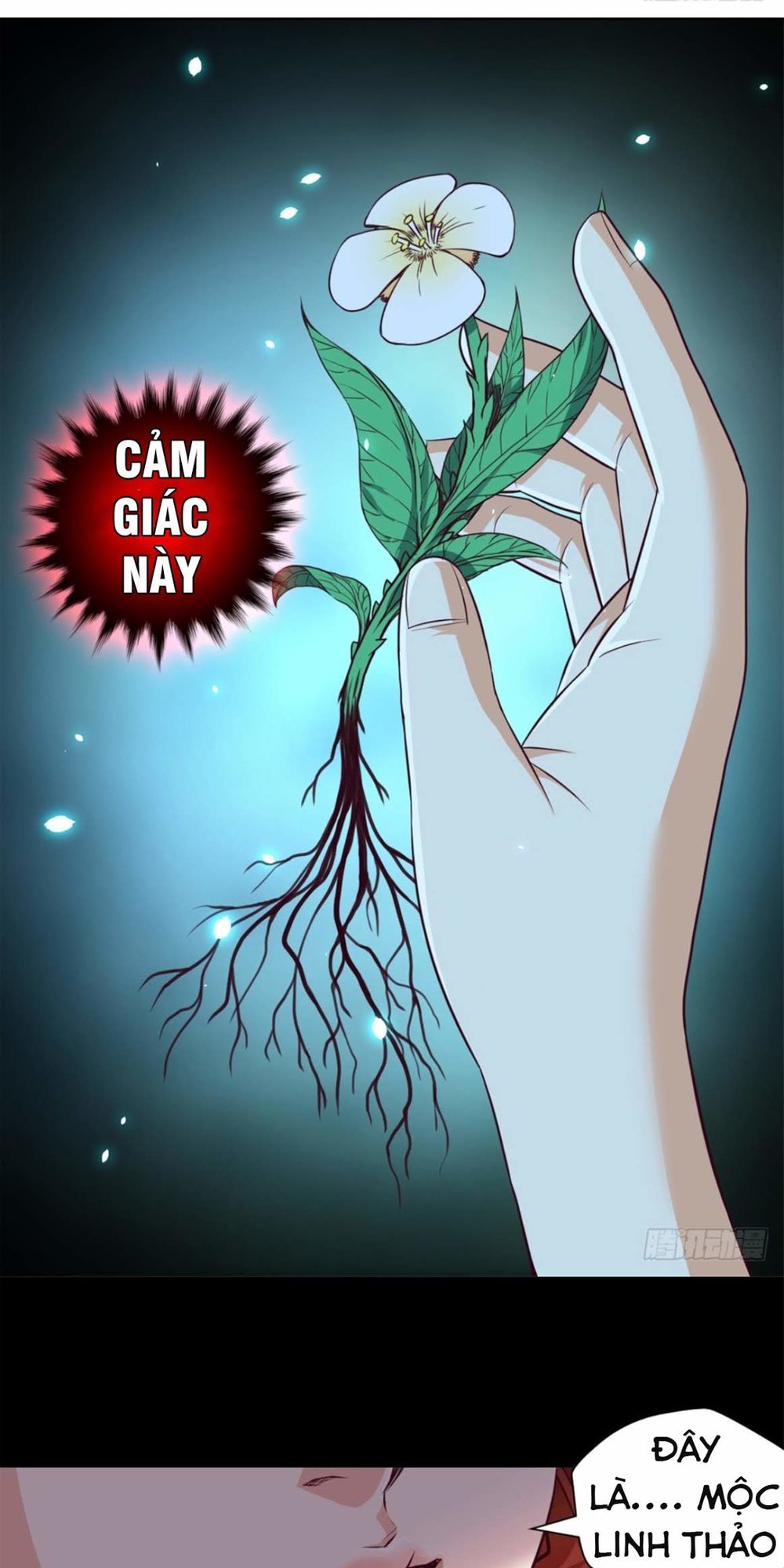 Chiếm Cái Đỉnh Núi Làm Đại Vương Chapter 5 - Trang 2