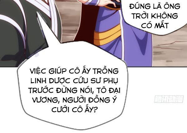 Chiếm Cái Đỉnh Núi Làm Đại Vương Chapter 88 - Trang 2
