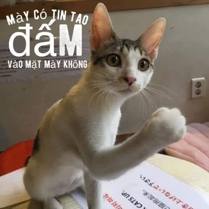 Chiếm Đoạt Ánh Trăng Chapter 10 - Trang 2