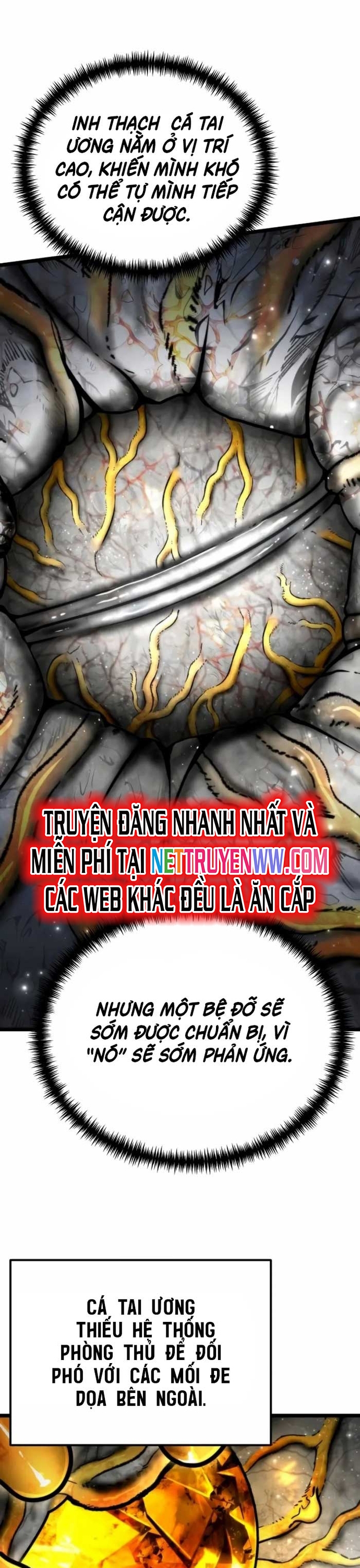 Chiến Binh Hồi Quy Chapter 59 - Trang 2