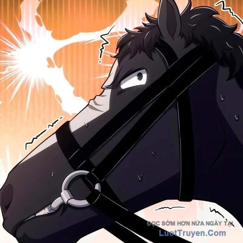Chiến Binh Máu Lạnh Chapter 26 - Trang 2