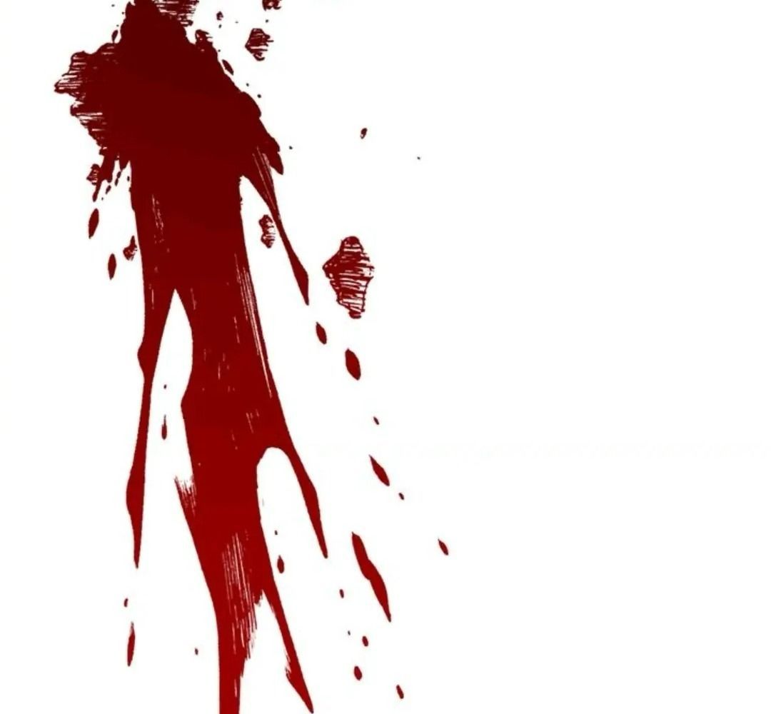 Chiến Binh Xương Trắng Thất Thủ Chapter 111 - Trang 2