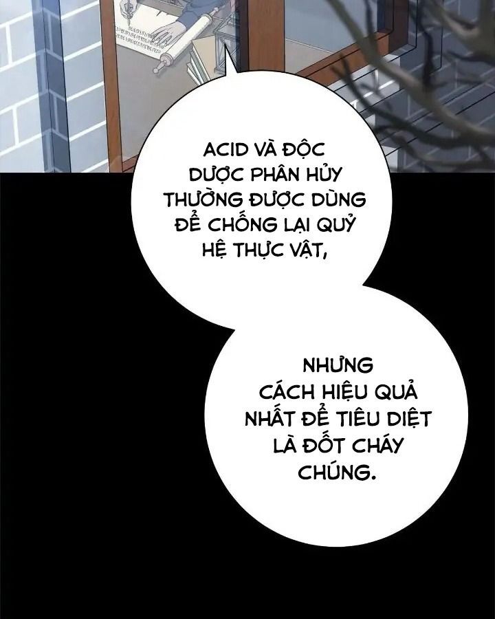 Chiến Binh Xương Trắng Thất Thủ Chapter 175 - Trang 2