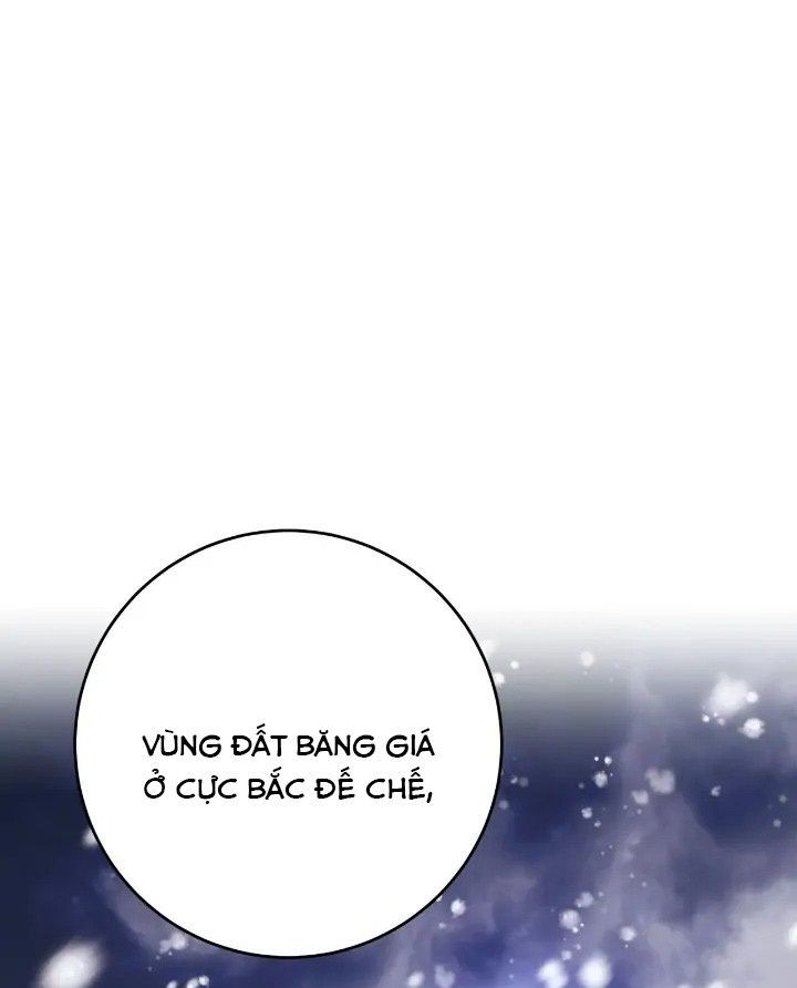Chiến Binh Xương Trắng Thất Thủ Chapter 217 - Trang 2