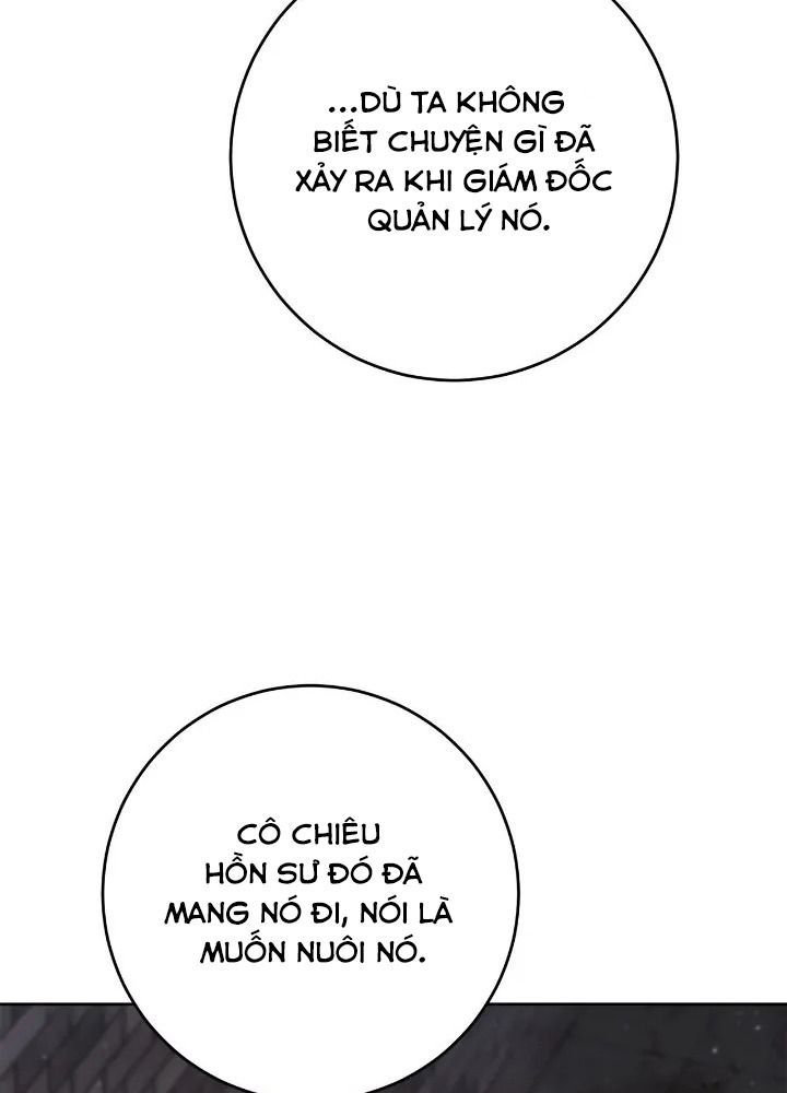 Chiến Binh Xương Trắng Thất Thủ Chapter 258 - Trang 2