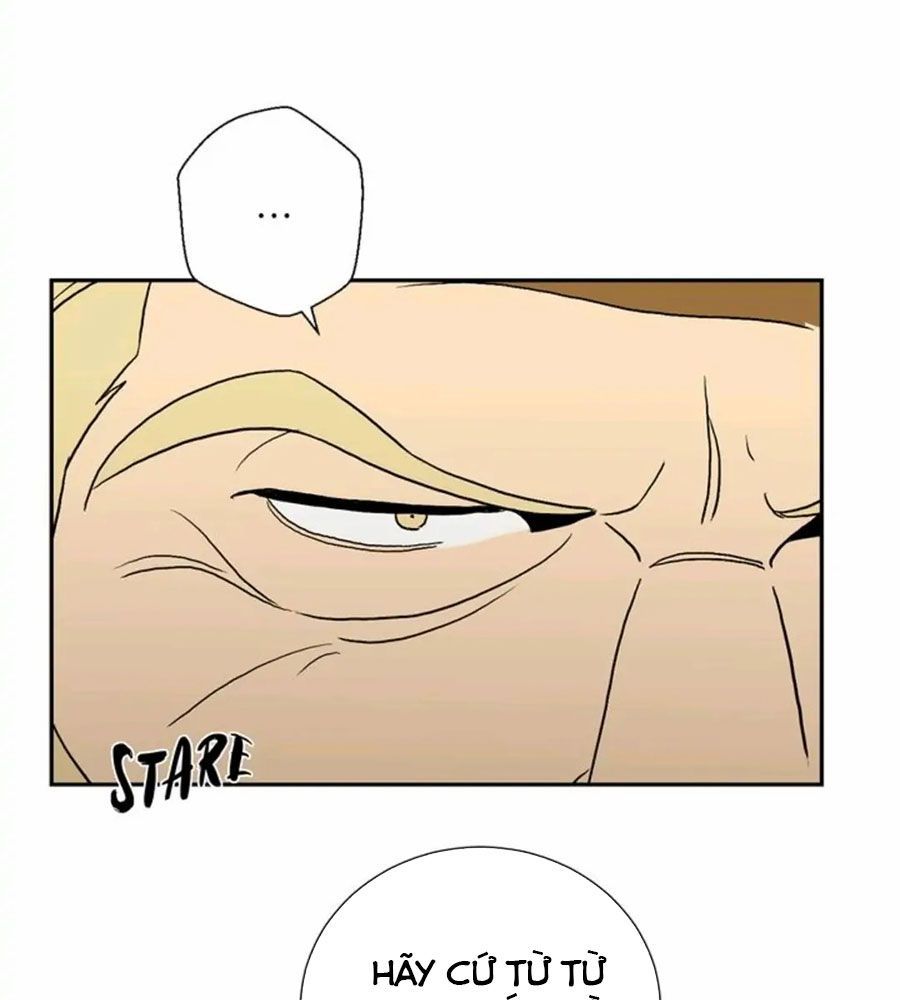 Chiến Binh Xương Trắng Thất Thủ Chapter 29 - Trang 2