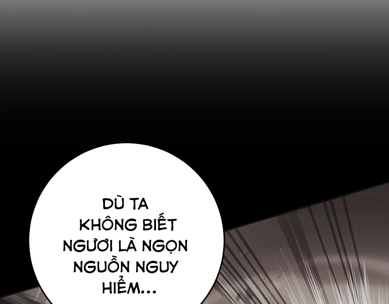 Chiến Binh Xương Trắng Thất Thủ Chapter 309 - Trang 2